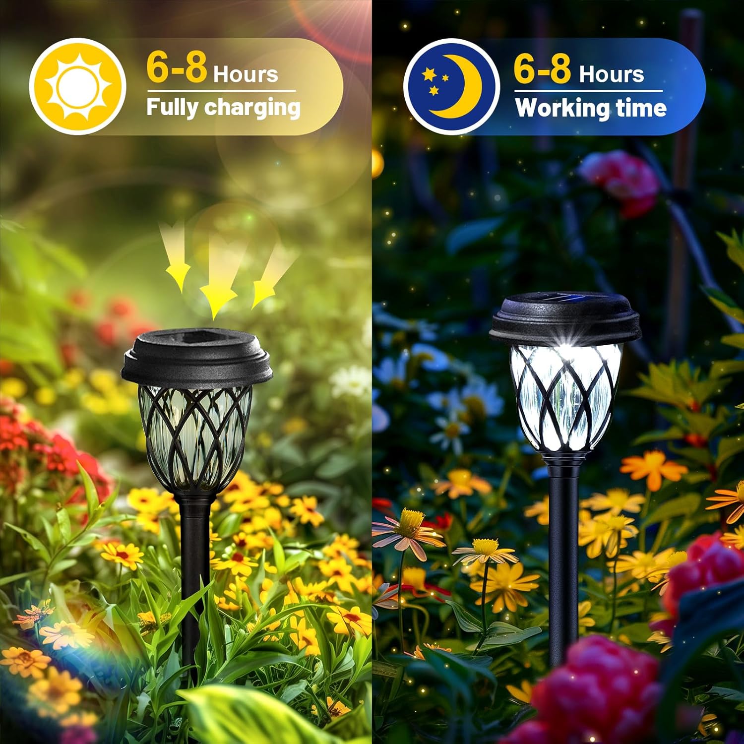 ZenGlow Solar Path Lights 6-Pack