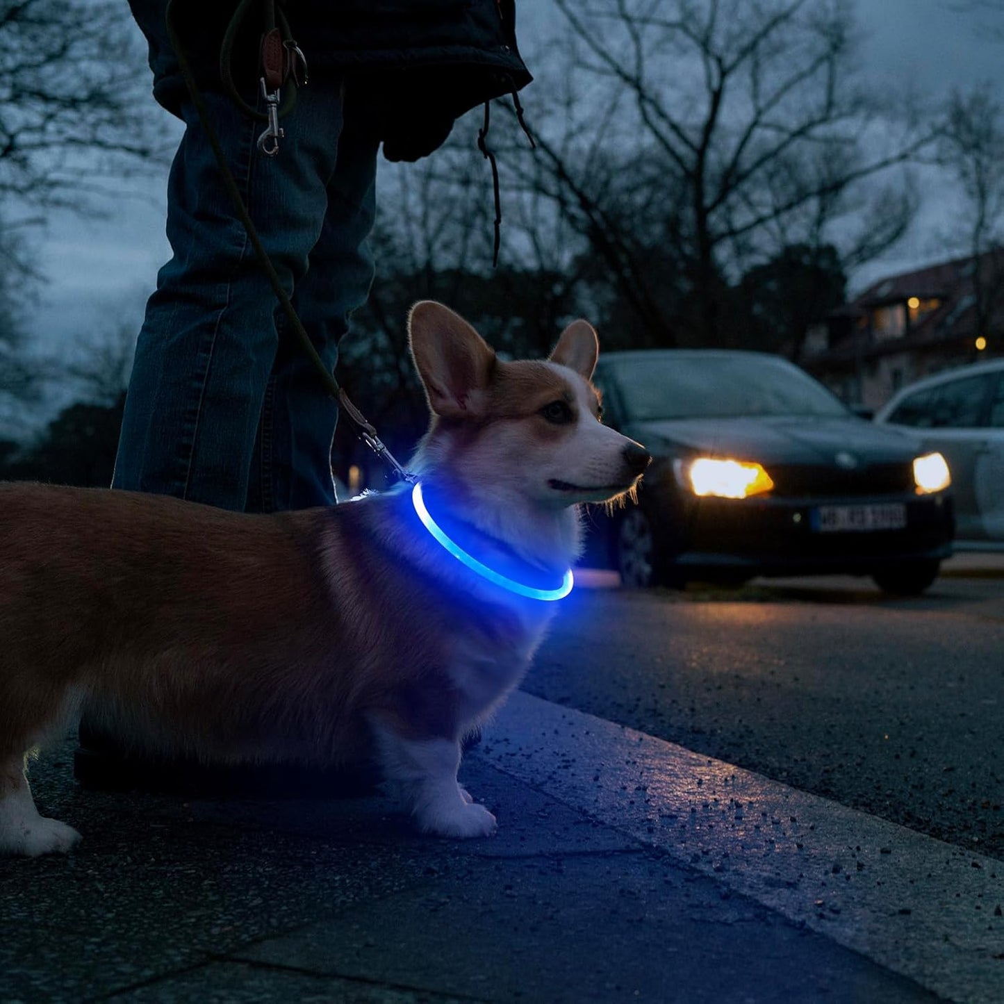 LumiPup Glow Collar 🌟🐾