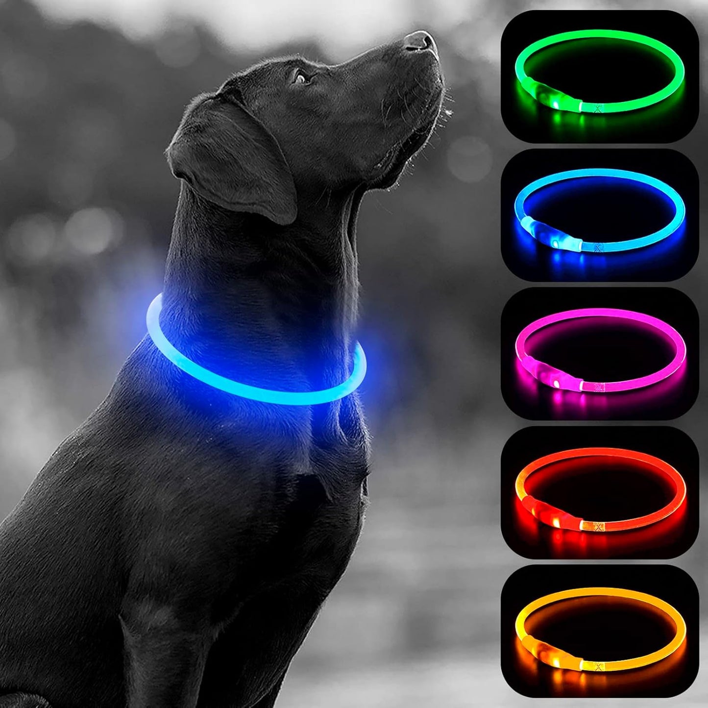 LumiPup Glow Collar 🌟🐾