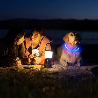 LumiPup Glow Collar 🌟🐾